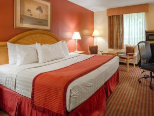 Best Western Center Inn Virginia Beach Oda fotoğraf