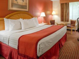 Best Western Center Inn Virginia Beach Oda fotoğraf
